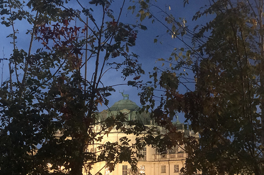 Palazzina di caccia di Stupinigi Floreal 2022