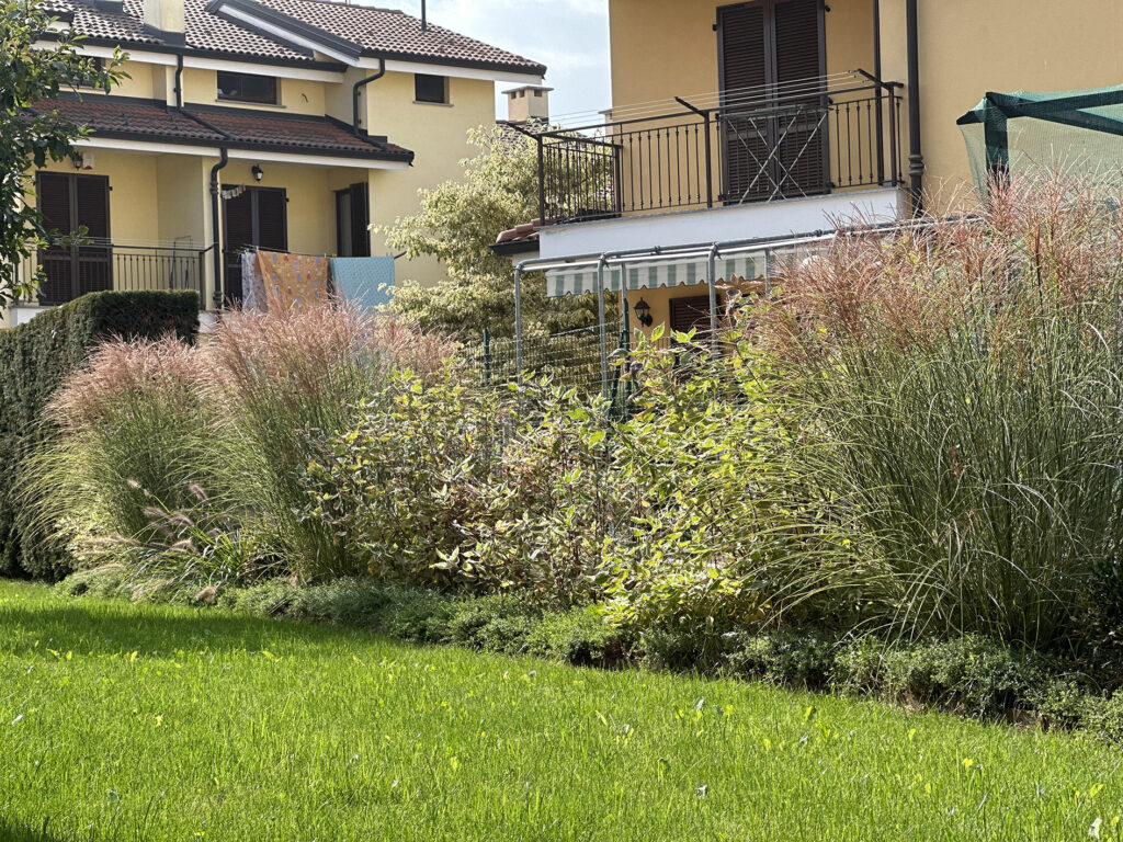 siepe mista giardino condominiale cuneo