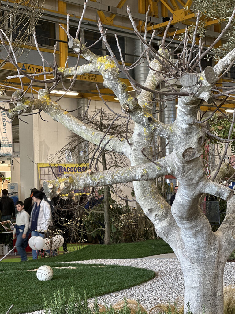 giardino sensoriale Expocasa Lingotto Torino