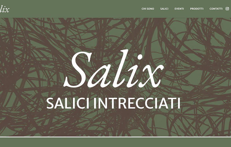 anna patrucco salix