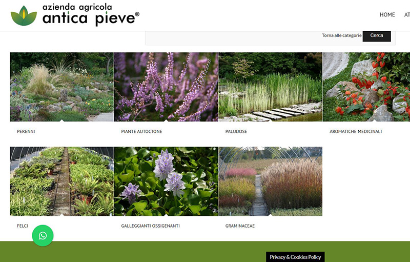 antica pieve brescia