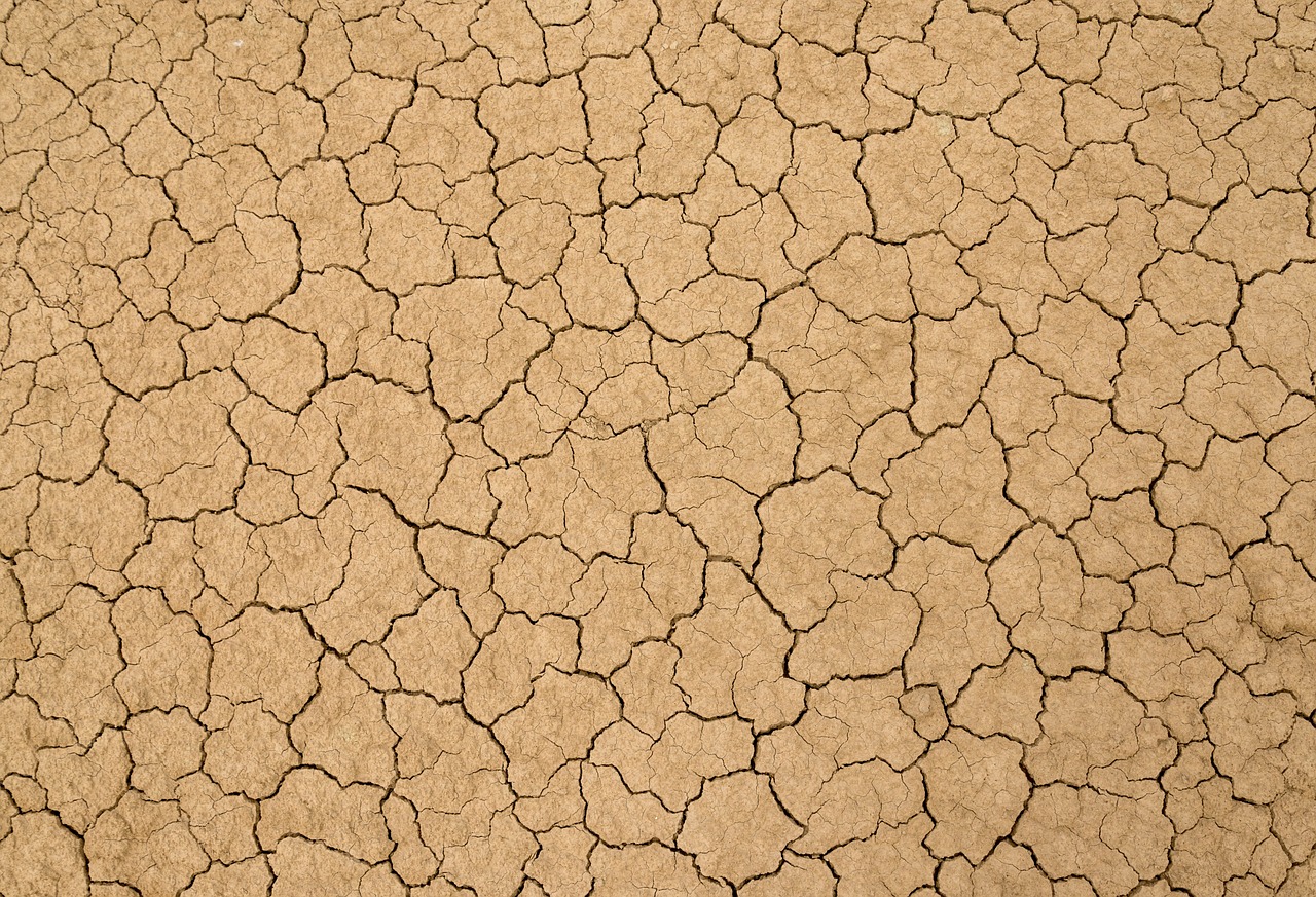 terreno argilloso