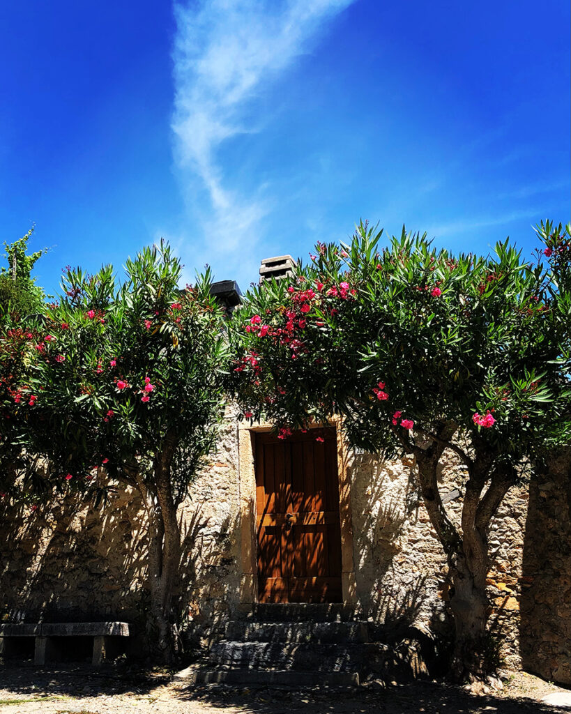 giardino rustico di campagna mediterraneo Imperia