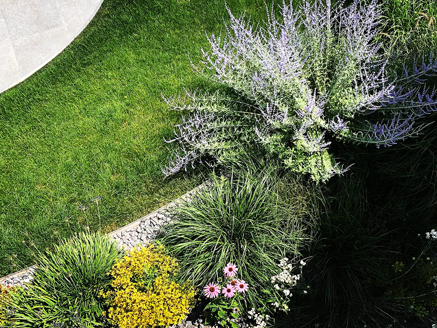 Cottage Garden 8_Arianna Tomatis Architetto del Paesaggio per progettazione online