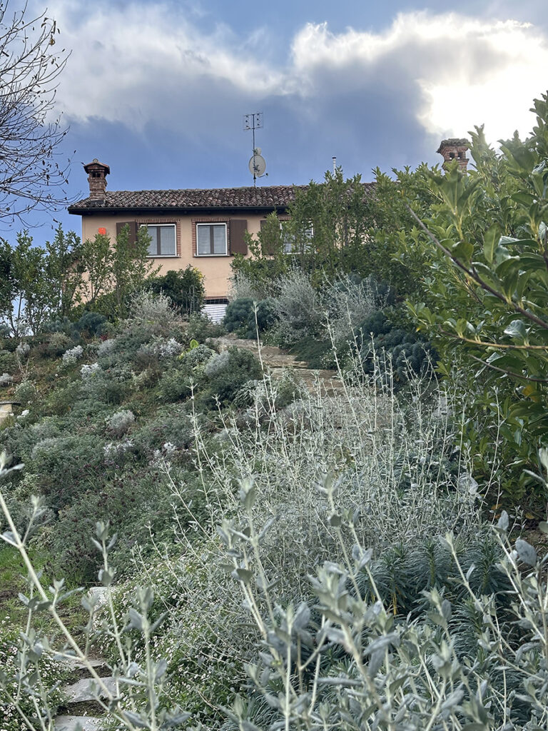 Giardino Mediterraneo Bassa Manutenzione Mondovì Cuneo 37