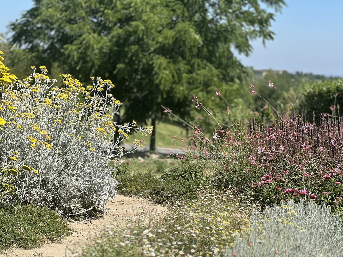 Giardino bassa manutenzione