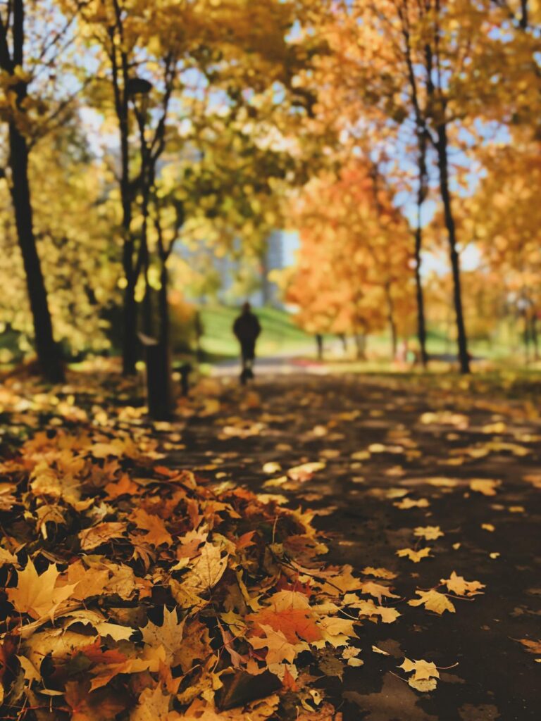 progettazione parco urbano 2