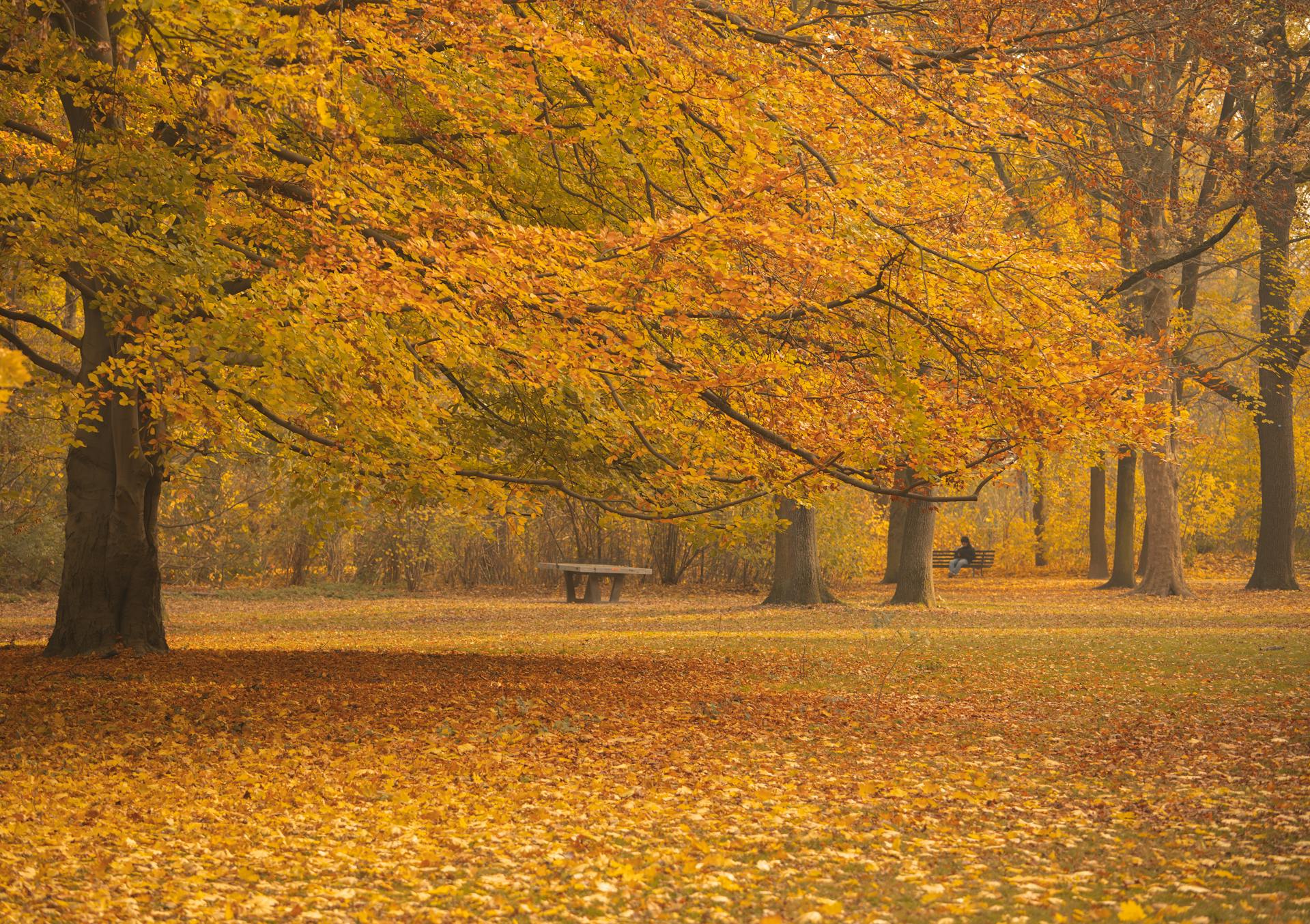 progettazione parco urbano 9