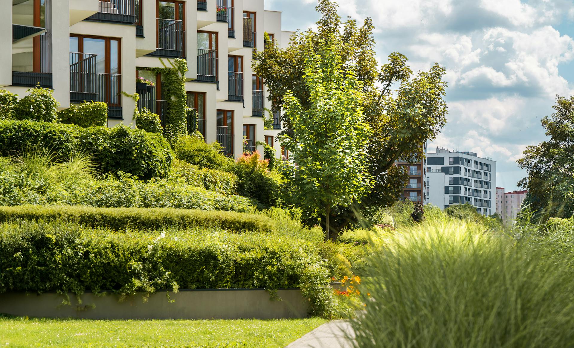 giardino verde condominio 2