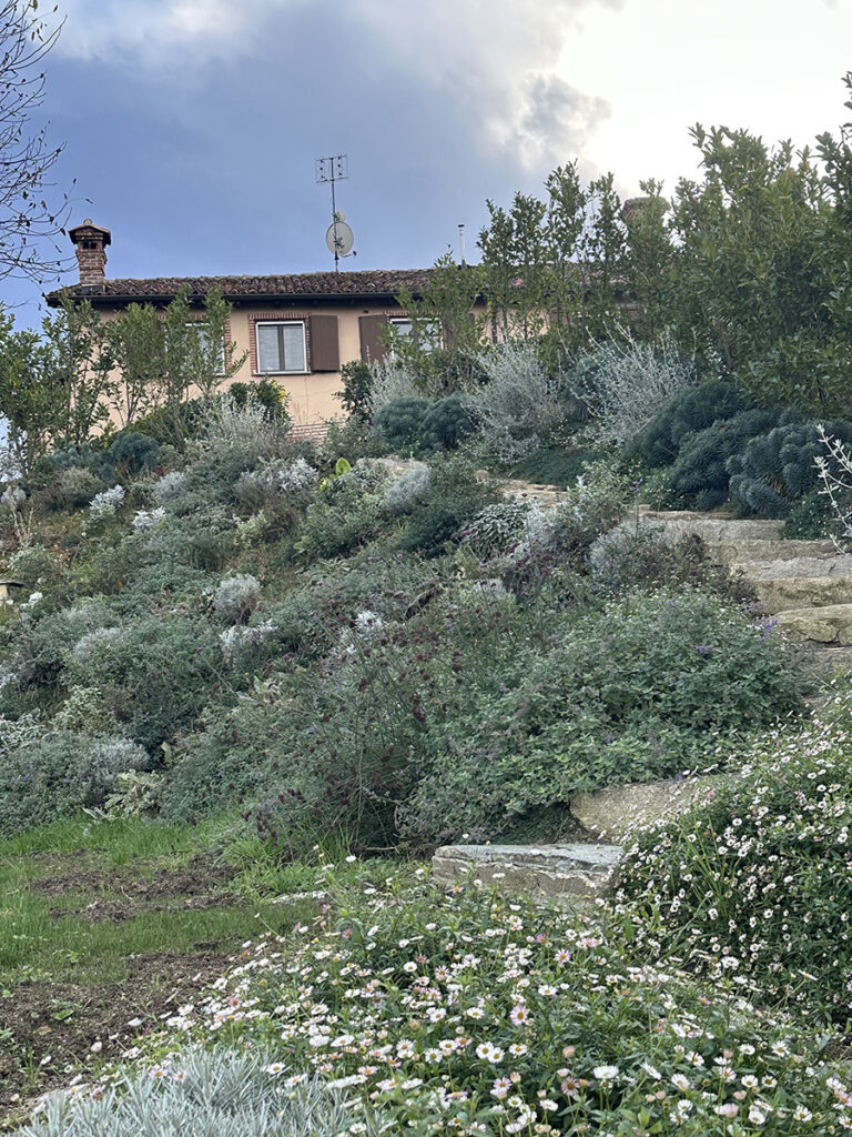 Giardino Mediterraneo Bassa Manutenzione Mondovì Cuneo
