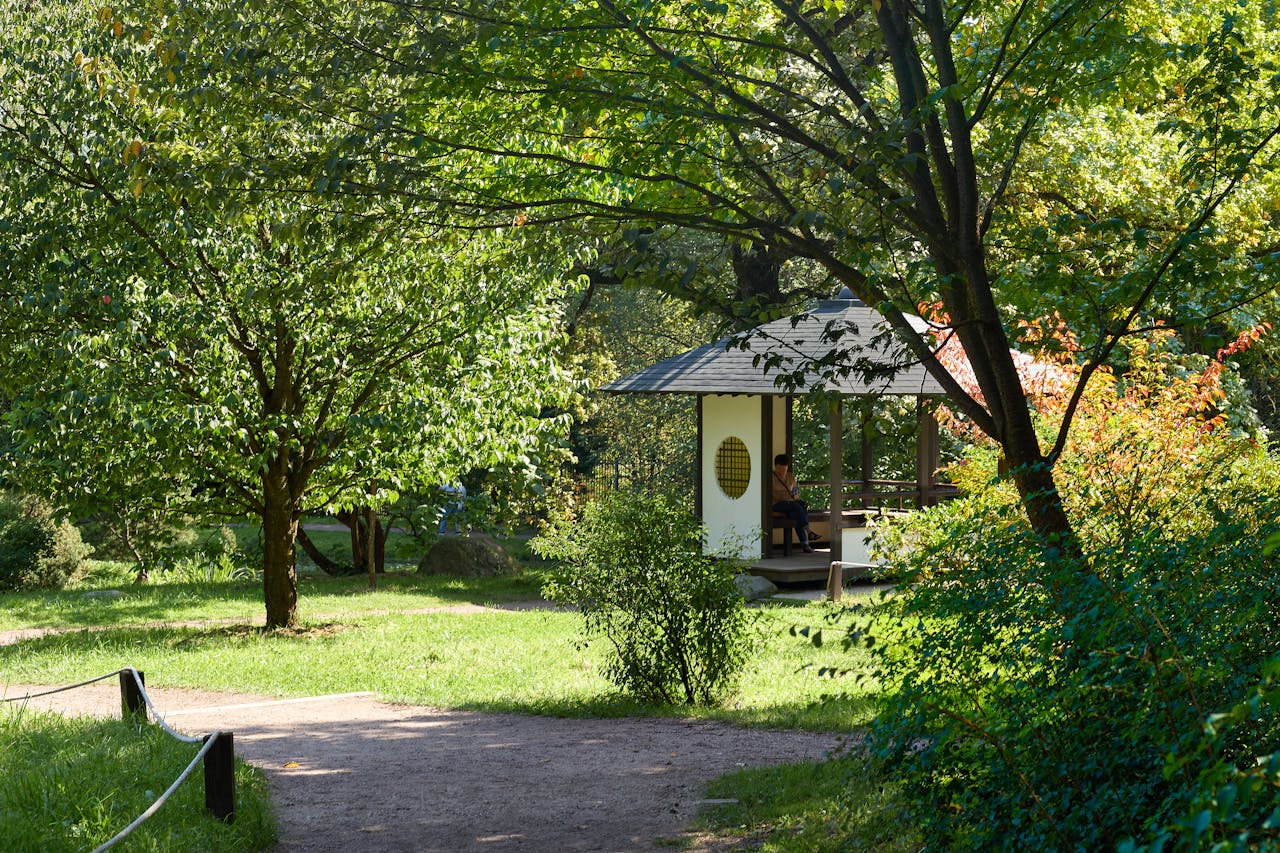 giardino curativo sensoriale terapeutico 7