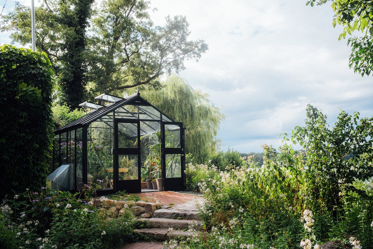 giardino di casa 3