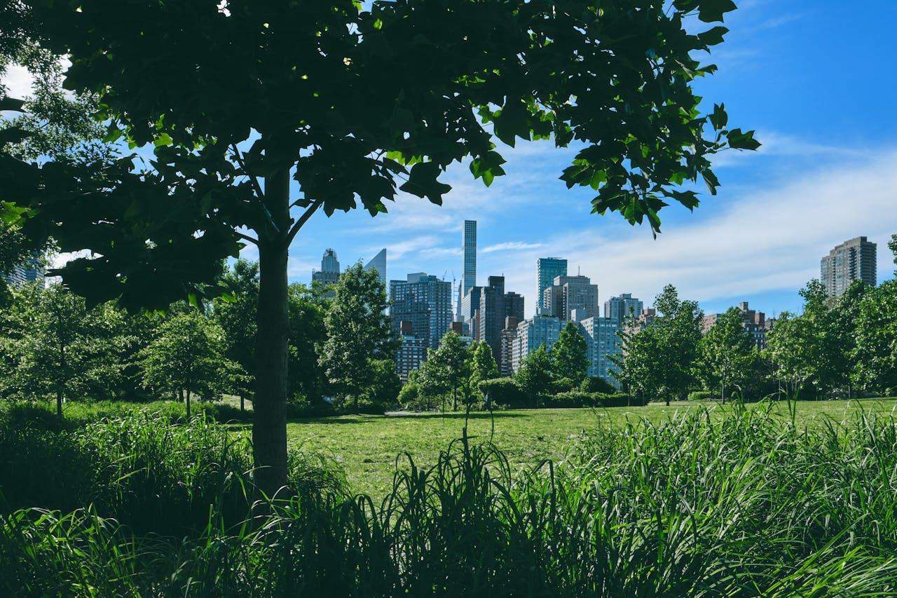 quartiere verde-parco urbano 1