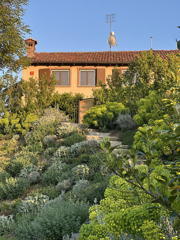 giardino mediterraneo sensoriale vicoforte mondovì 4